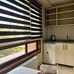 Brown 3*