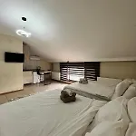 Brown Aparthotel
